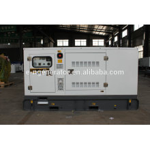 50HZ & 60HZ Water cooled 20kva diesel generator with Best Price